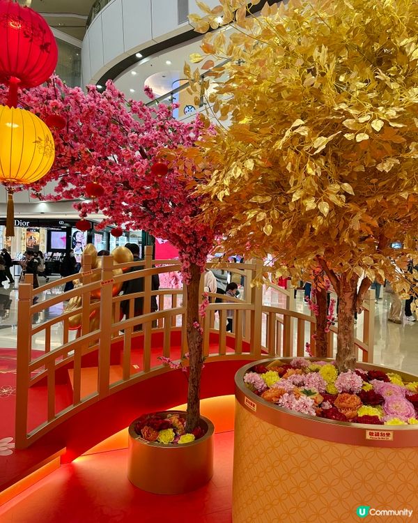 觀塘apm新年桃花迪士尼🌸💖