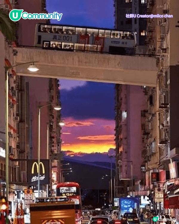 【打卡好去處2026】香港7個網紅打卡景點📸港版小京都/退役列車/怪獸大廈                                    