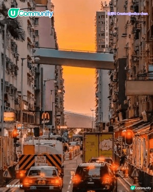 【打卡好去處2026】香港7個網紅打卡景點📸港版小京都/退役列車/怪獸大廈                                    