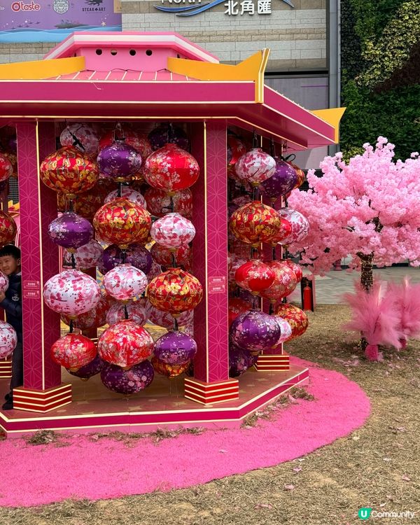 情人節打卡好去處 💞 夢幻｢花見春の園｣