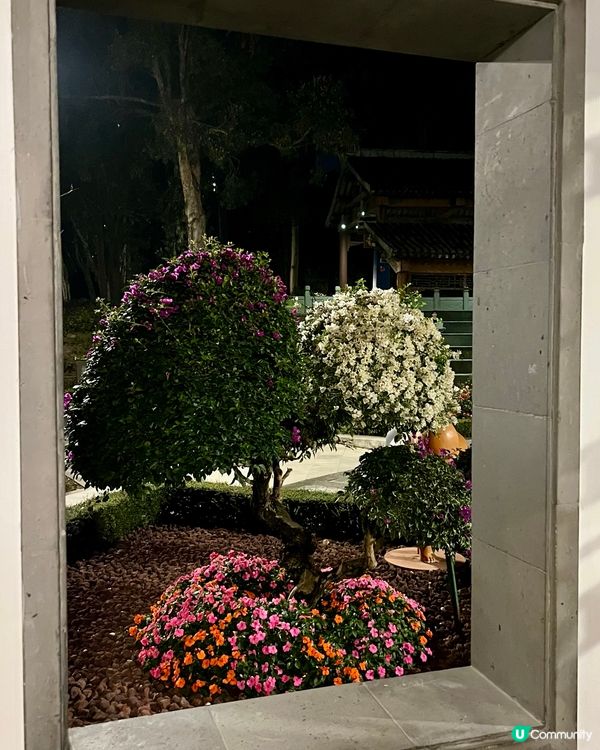 幽靜雅致的夜景