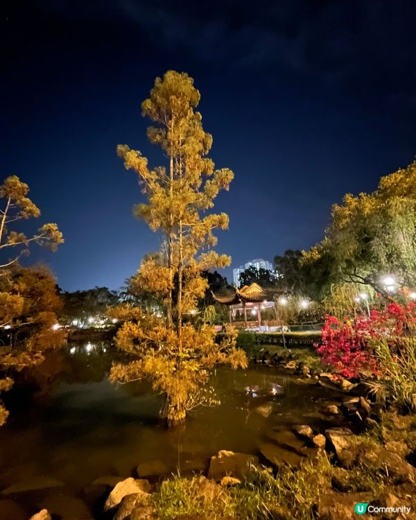 幽靜雅致的夜景
