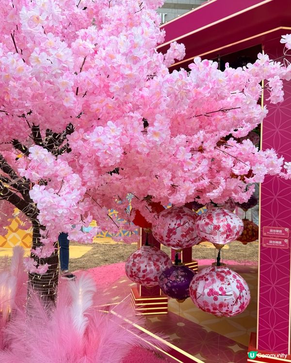 情人節打卡好去處 💞 夢幻｢花見春の園｣