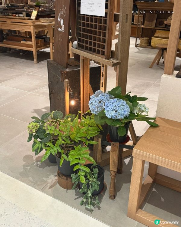 啟德日系古道具Cafe