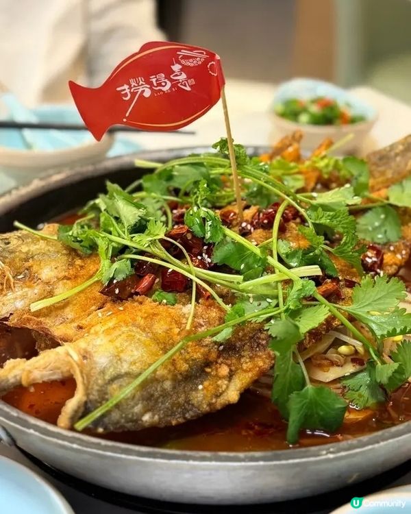 【任食火鍋放題｜人氣推介🔥】