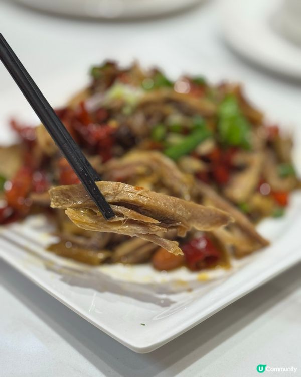 西營盤新開張餃子店🥟蒸餃正到爆😋皮薄餡靚口味多💝