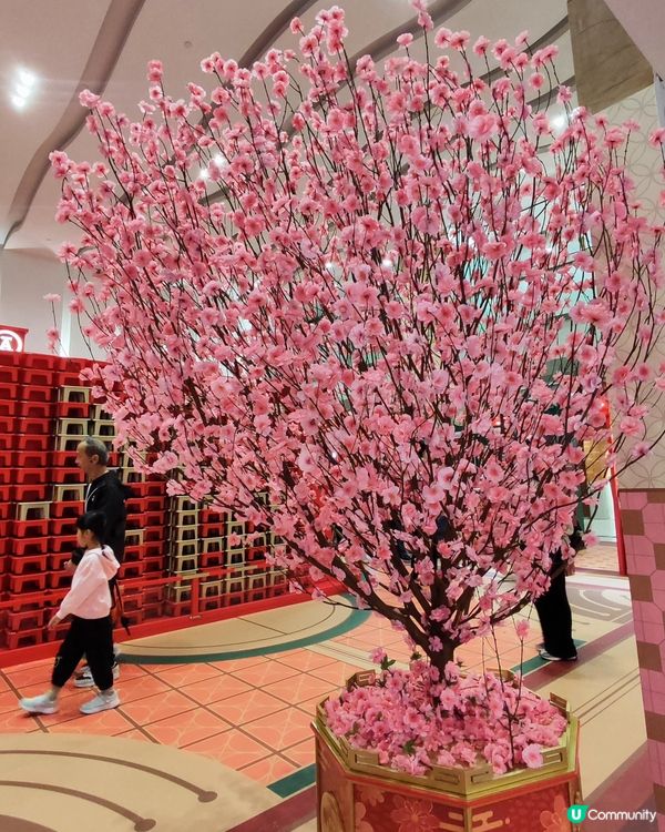 🧧紅運德福新年市集！🧧掃貨打卡一流👍！