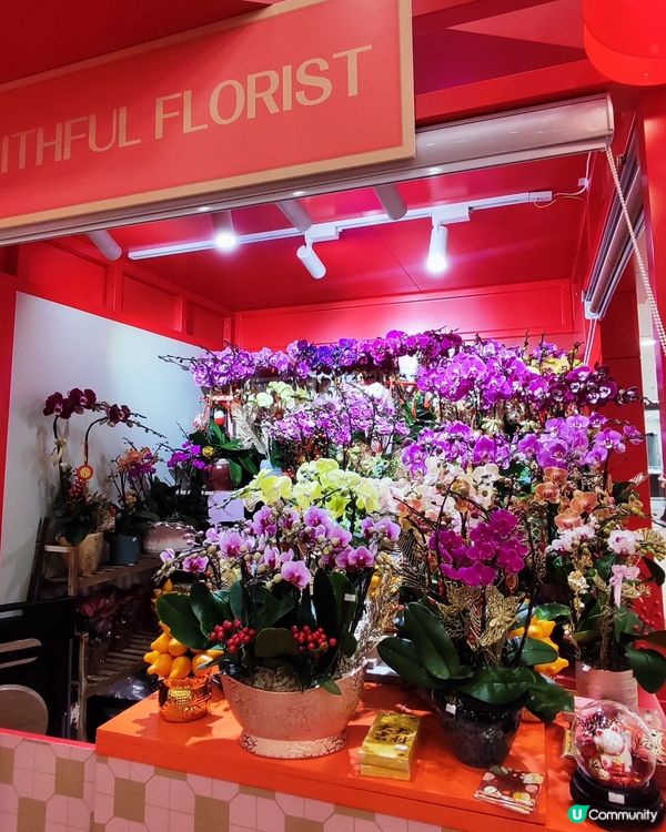 🧧紅運德福新年市集！🧧掃貨打卡一流👍！