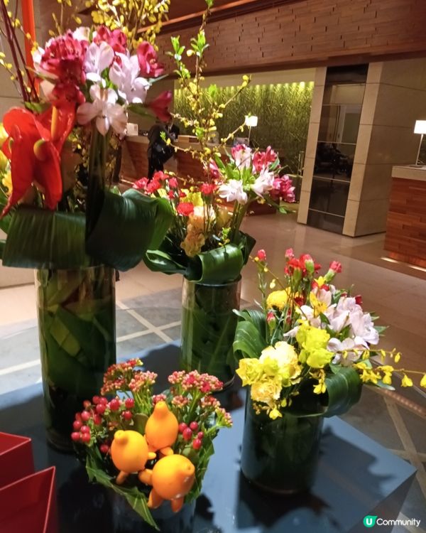 花開富貴迎春福