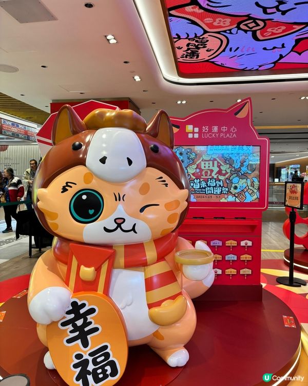 好運招財貓！📸✨