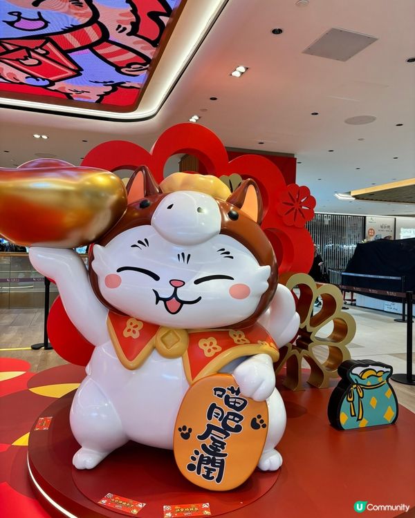 好運招財貓！📸✨