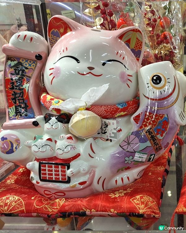 招財猫 cute
