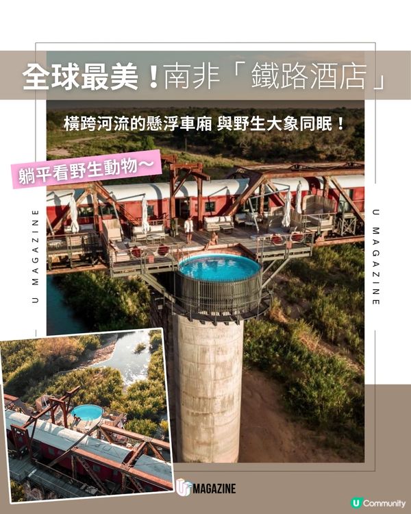 必住清單！南非鐵路酒店 全景落地玻璃窗 房內都睇到野生動物！                                    