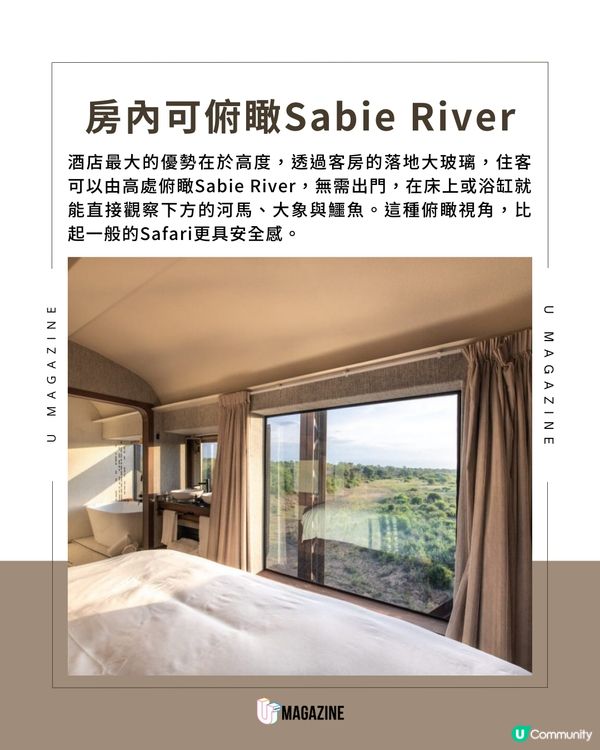 必住清單！南非鐵路酒店 全景落地玻璃窗 房內都睇到野生動物！                                    