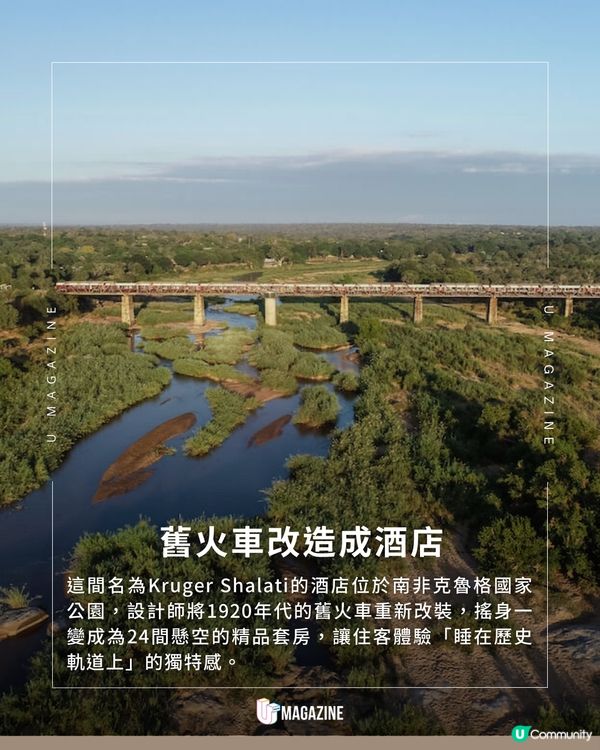 必住清單！南非鐵路酒店 全景落地玻璃窗 房內都睇到野生動物！                                    