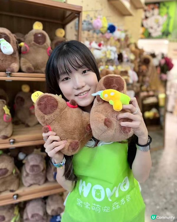 深圳動物園一日遊！親子必去！ 🤩