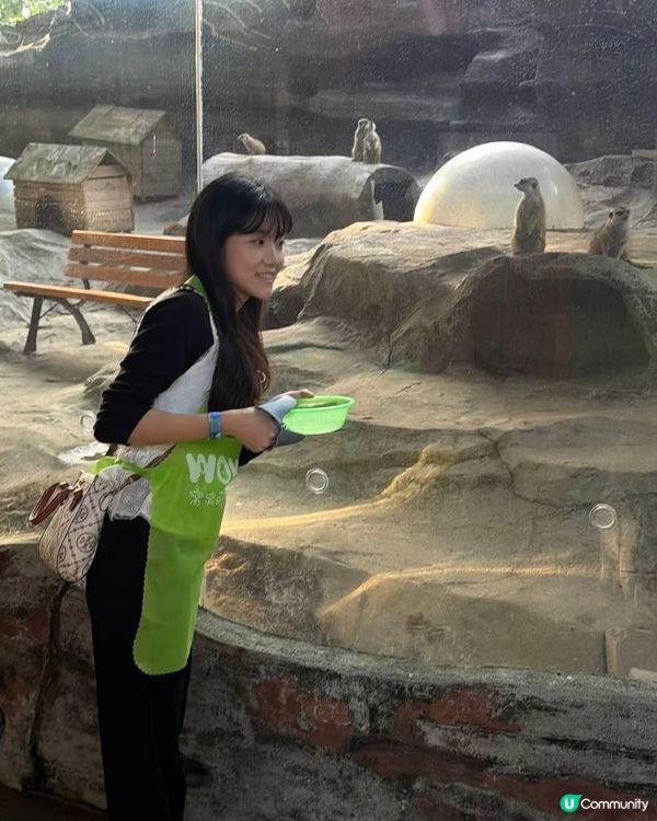 深圳動物園一日遊！親子必去！ 🤩