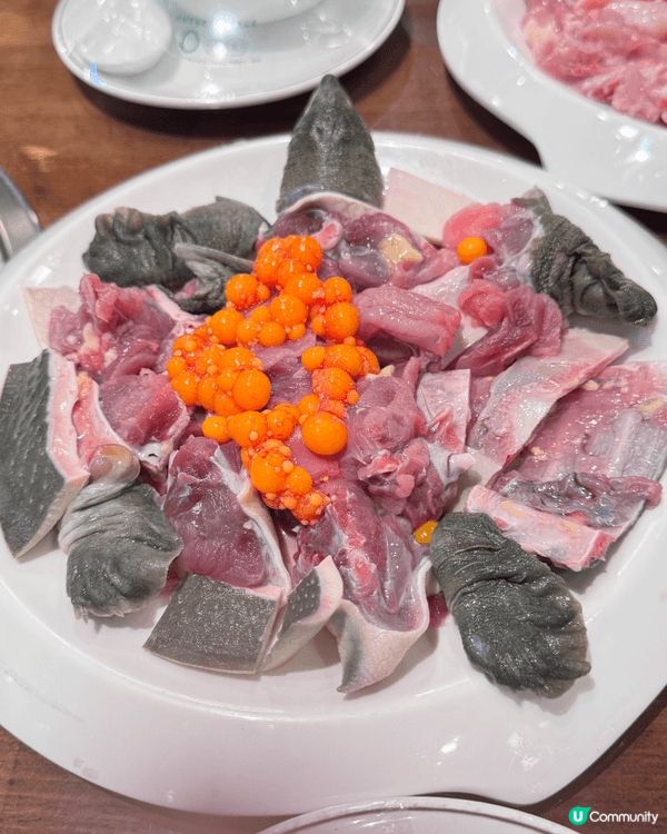 深圳探店 福田伏林哥·豬雜粥底火鍋