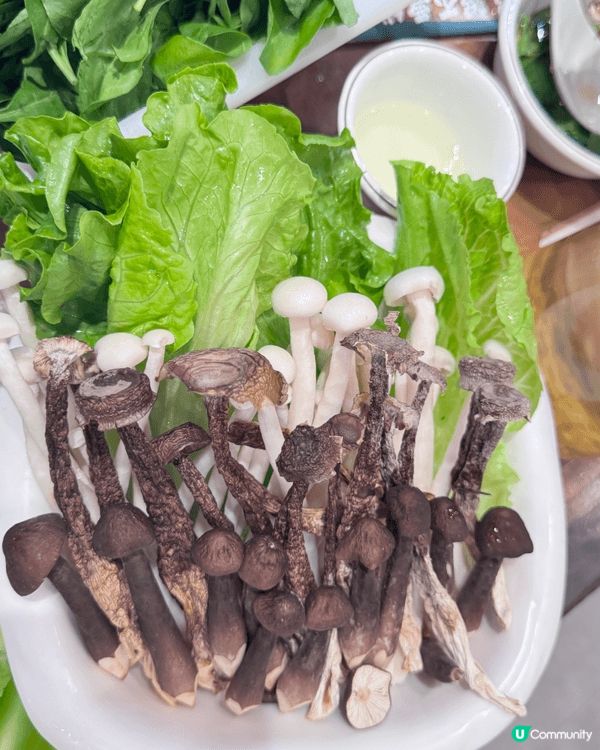 深圳探店 福田伏林哥·豬雜粥底火鍋