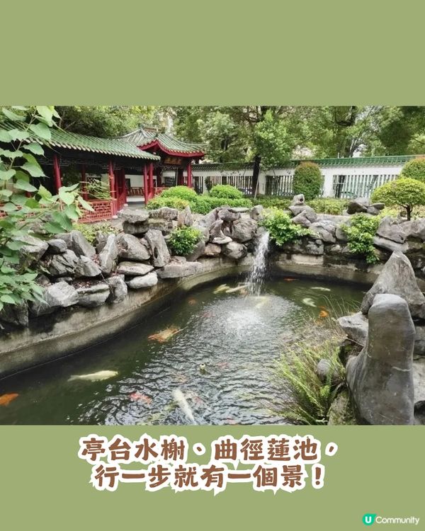 深圳福田區一日遊攻略! 影后惠英紅同款打卡地+皇崗/水圍2村美食地圖😋                                    