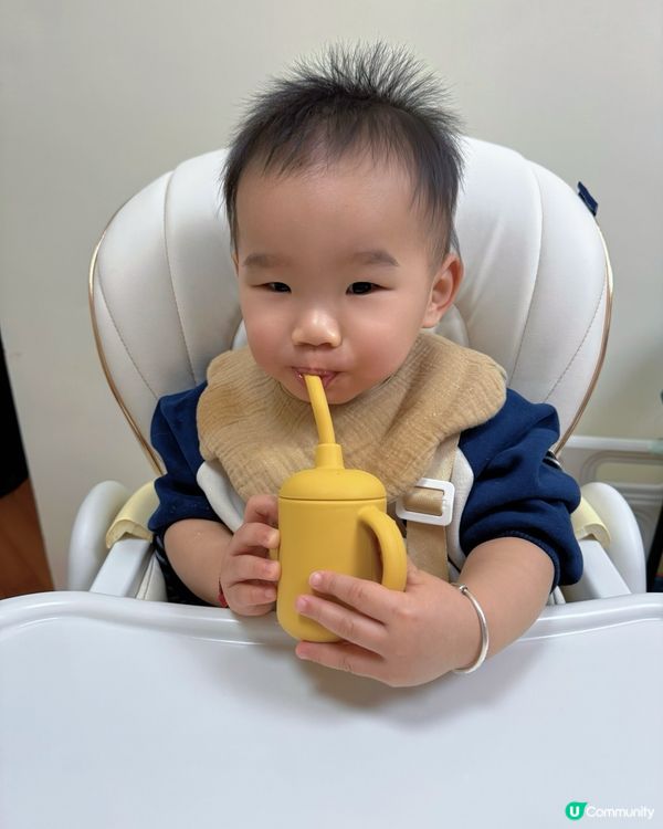 清漉湯包系列