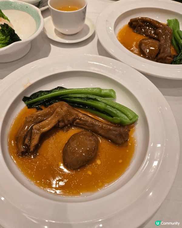 翠園扺食鮑魚海鮮魚翅套餐，美味可口，大件夾扺食，一試難忘
