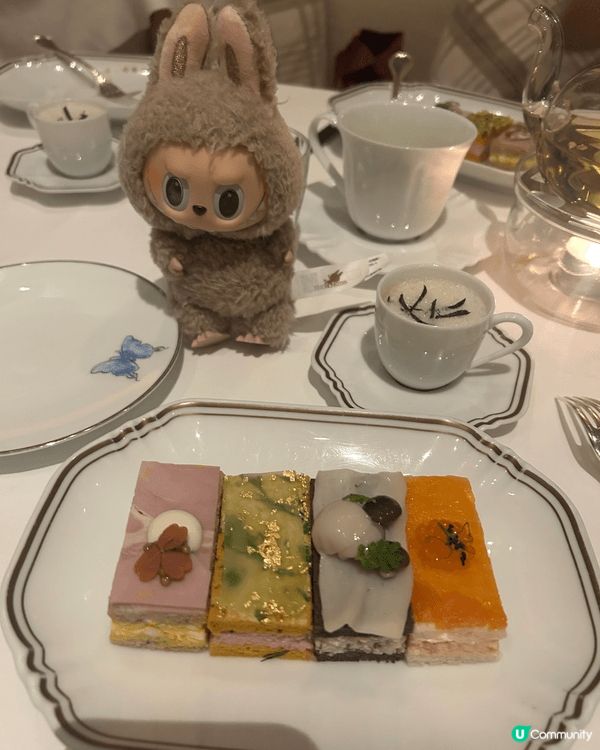 早排瘋狂洗版嘅Rosewood Butterfly Room...