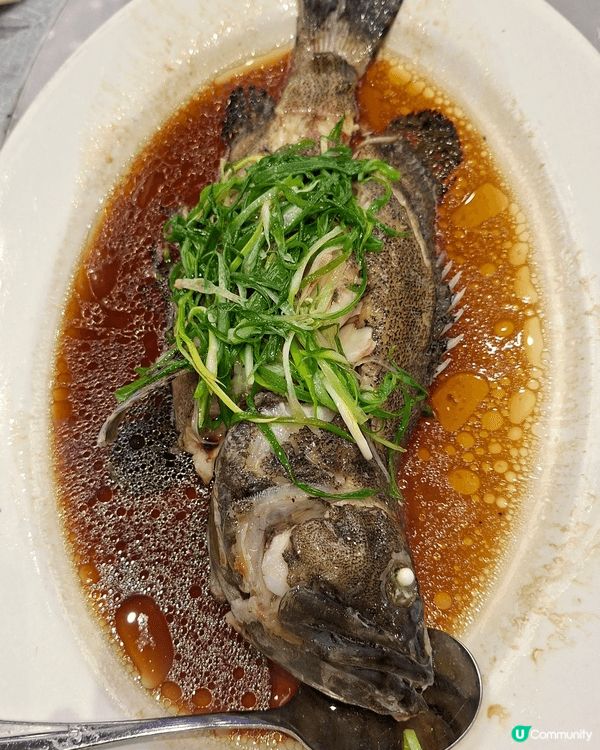 真心推介，在太子始創中心潮悦酒樓，食物好味，大件夾抵食，一大...