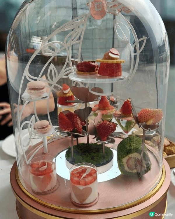 推介北京樓的填鴨，外酥內嫩。Hotel Icon的下午茶，主...