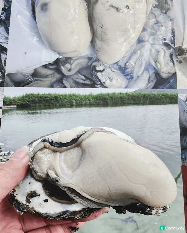 有國内肉骨麵，炸雲吞和新鮮生及糖水，非常美味及價錢便宜