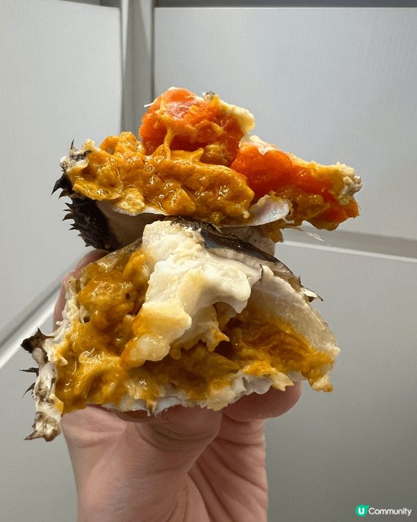香港咁多美食， 總有一間喺左近