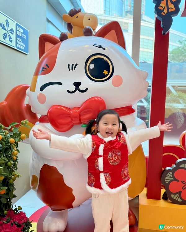 新年好去處😍😻如心廣場🐾 「喵來福到開運祭」🧧
