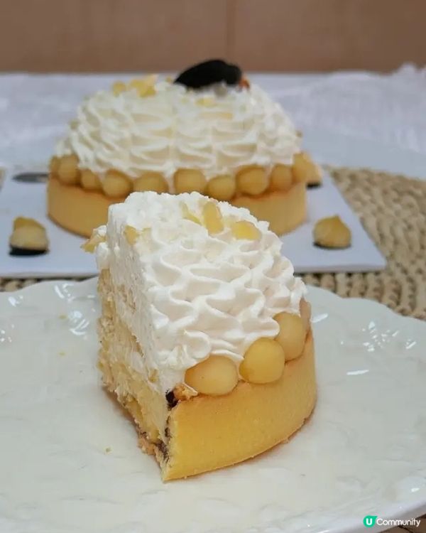🍮 MY TART 堅果の后・夏威夷果仁撻 ✨
