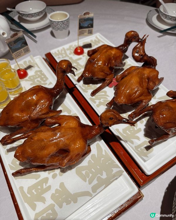 第一次去食深圳米芝蓮的「大鴿飯」，估唔到竟然有咁咁咁好食的紅...