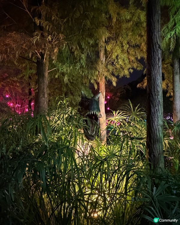 ✨深圳🇨🇳-⚠️💬竟未過看非遺打鐵花⁉️💢 水上火壺超好看