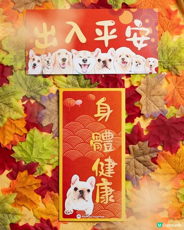 法國鬥牛犬揮春🐶開運迎新！✨