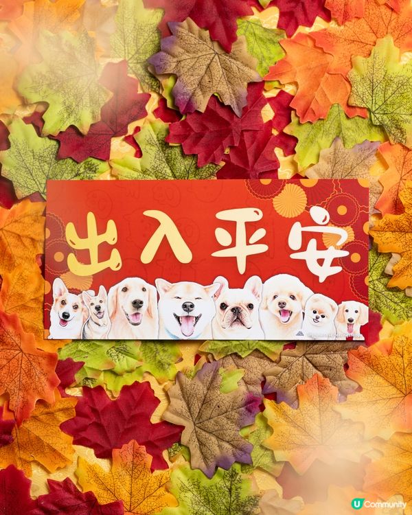 法國鬥牛犬揮春🐶開運迎新！✨