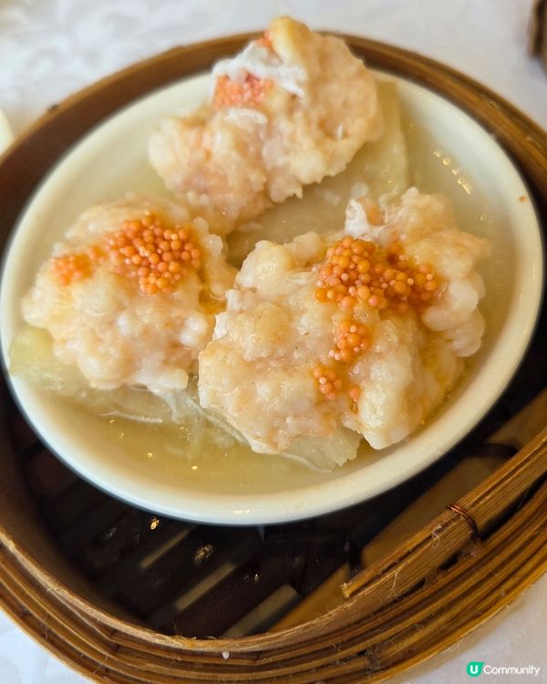 飲茶🫖