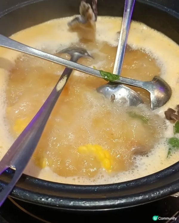 🍲 熱辣辣雞煲 · 聚餐好選擇