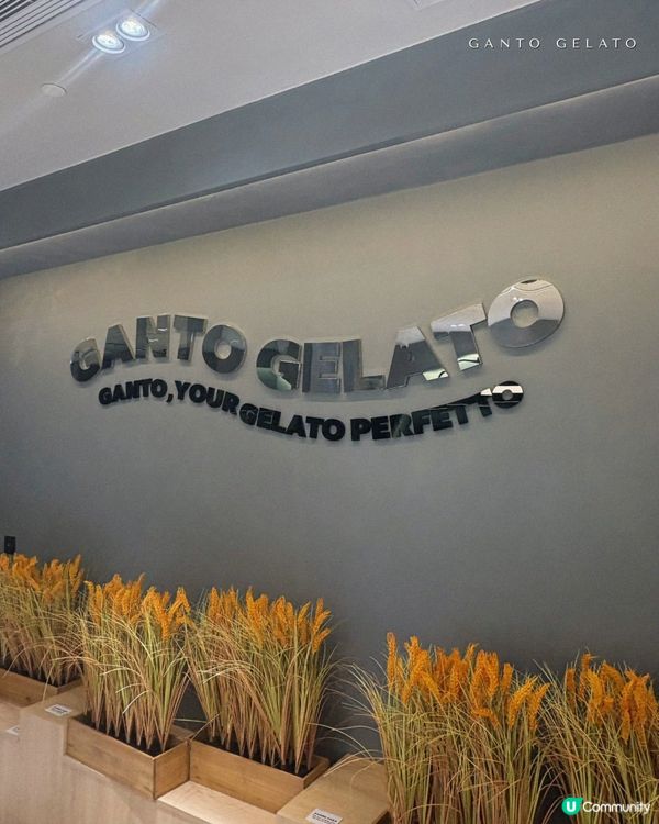 2月份新年限定口味