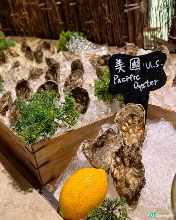 同朋友慶生性價比高自助餐