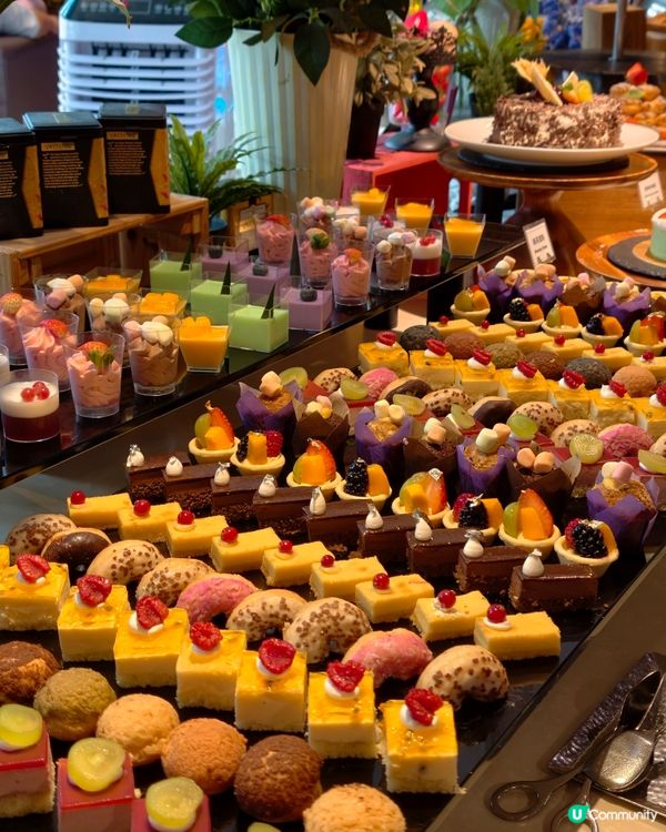 同朋友慶生性價比高自助餐