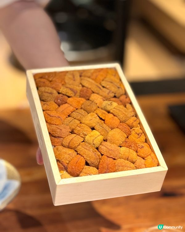 有得任食吞拿魚腩的廚師發辦🍣👍🏻