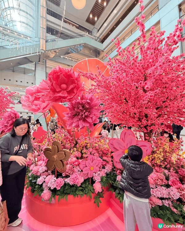 呢啲係我喺香港年宵花市打卡嘅靚相，有滿滿嘅桃花、年花同賀年裝...