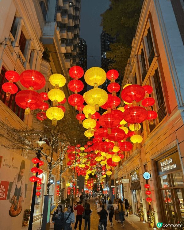 呢啲係我喺香港年宵花市打卡嘅靚相，有滿滿嘅桃花、年花同賀年裝...