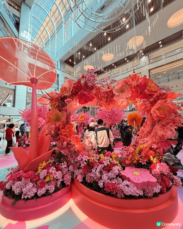 呢啲係我喺香港年宵花市打卡嘅靚相，有滿滿嘅桃花、年花同賀年裝...