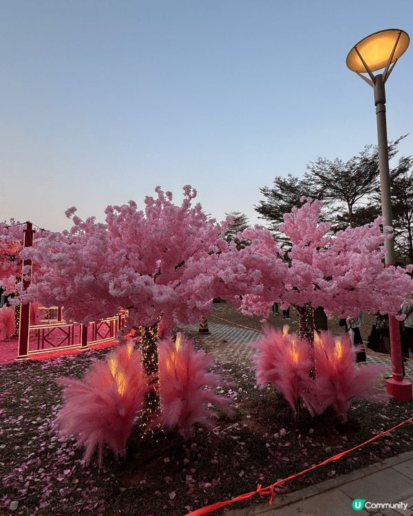 新年打卡好去處，位於北角碼頭旁邊的商場，就像一個桃花園，還可...