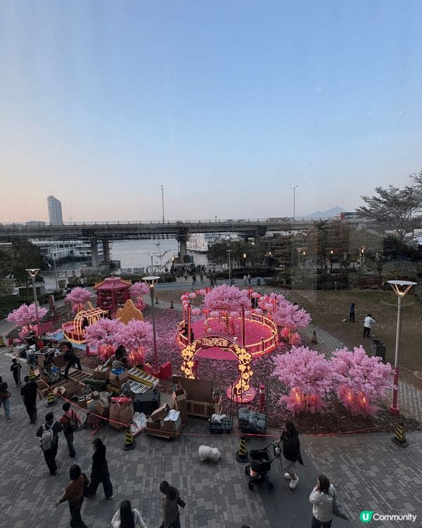 新年打卡好去處，位於北角碼頭旁邊的商場，就像一個桃花園，還可...