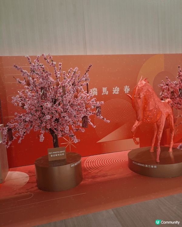 啟德SOGO的五色超財貓象徵著多方面的好運與祝福。每一隻財貓...