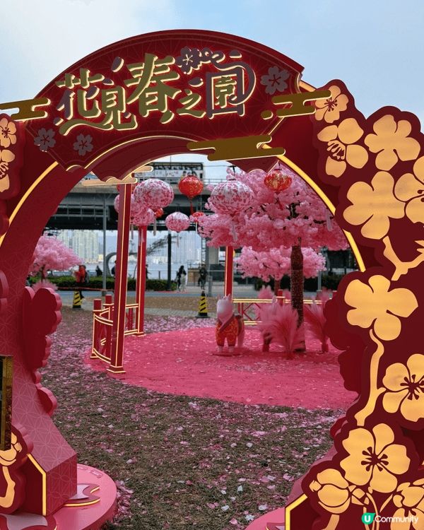 北角匯商場近碼頭的室外位置已換上新年佈置啦，呢度仲係pet ...